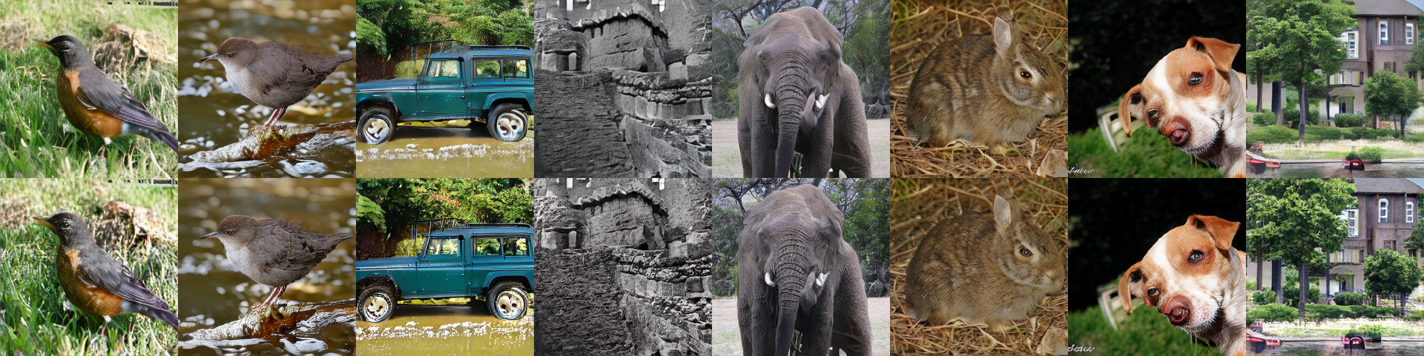 DMF-XL/2+ generated samples across eight selected classes: original decoder in the top row and LP-GANs in the bottom row.