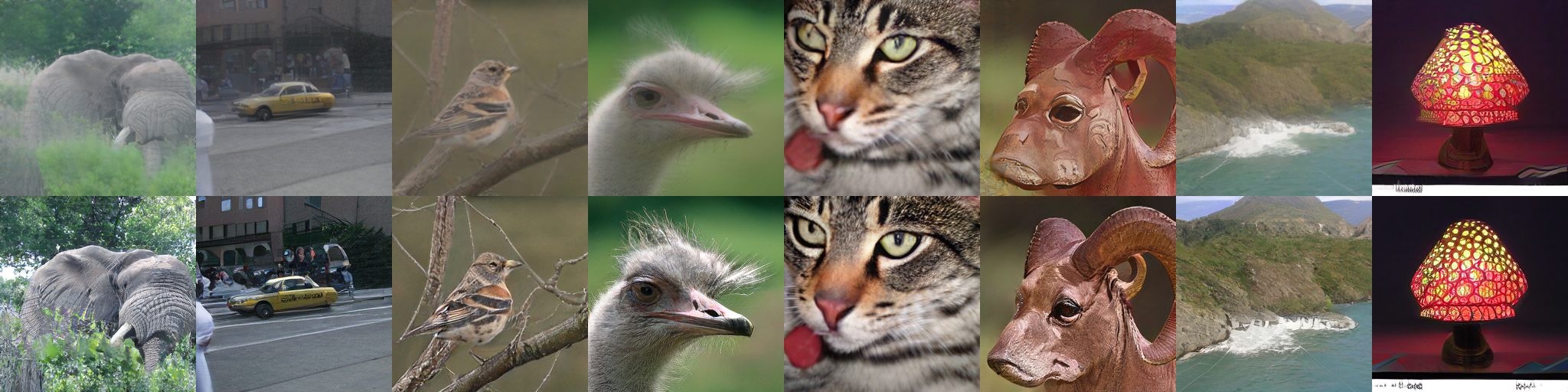 TiTok-L32 generated samples across eight selected classes: original decoder in the top row and LP-GANs in the bottom row.